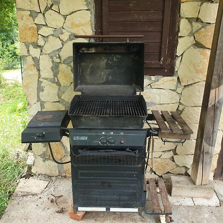 Log Cabin Belgrade Extérieur photo