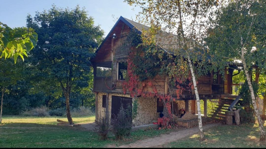 Log Cabin Belgrade Extérieur photo