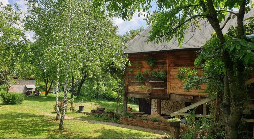 Log Cabin Belgrade Extérieur photo
